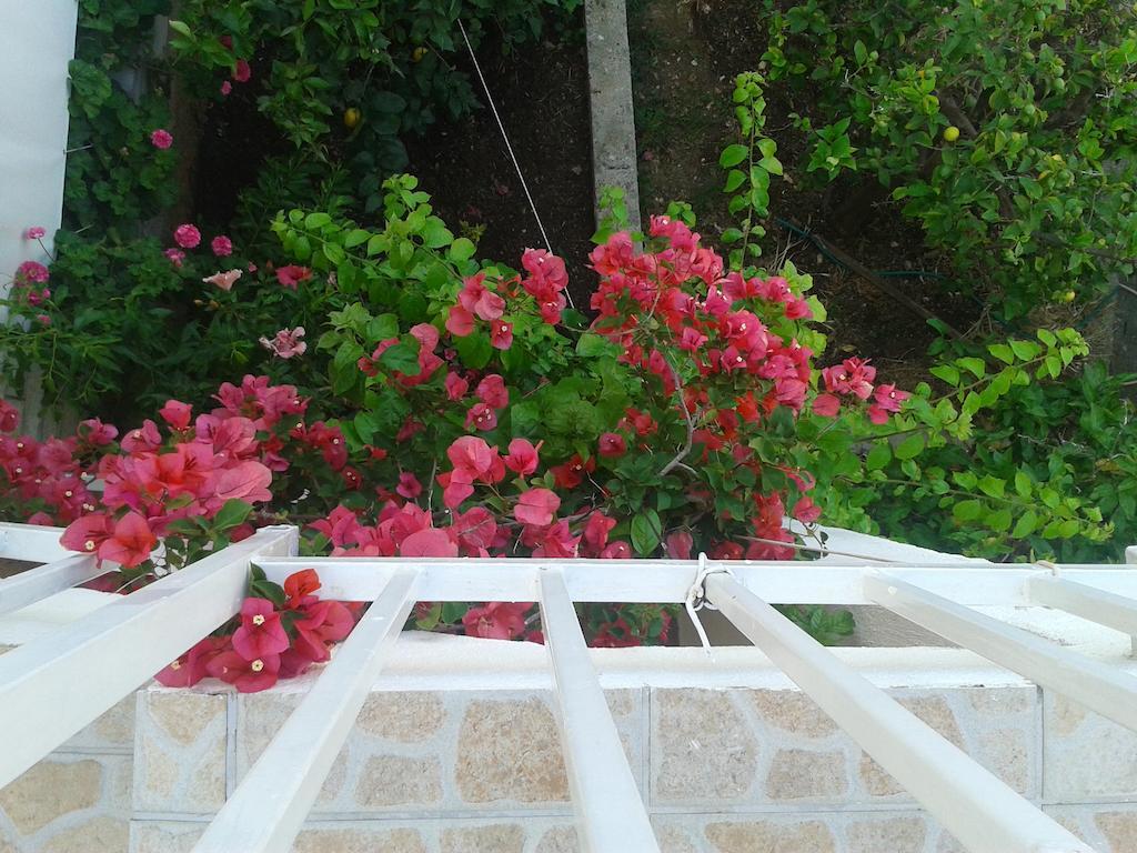 Apartments And Rooms Jasna Hvar Town Exterior foto